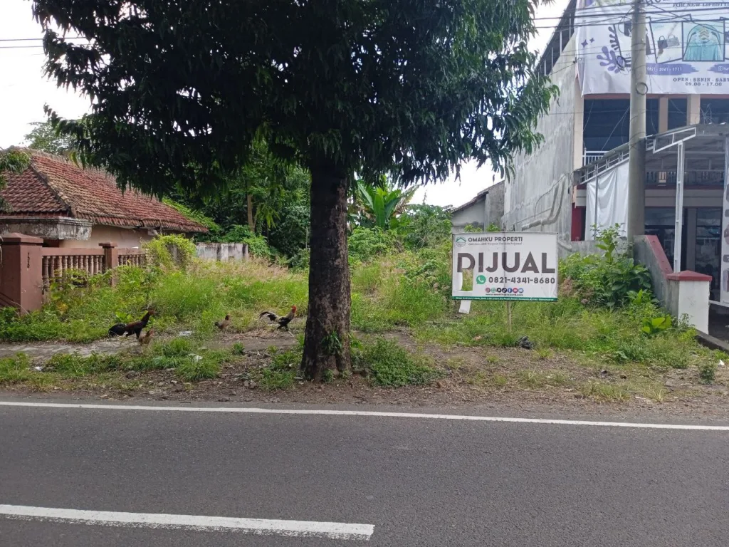 (BWI AI.002) Dijual Tanah Sangat Strategis Pinggir Jalan Desa Dadapan, Kec. Kabat, Kab. Banyuwangi - foto 1