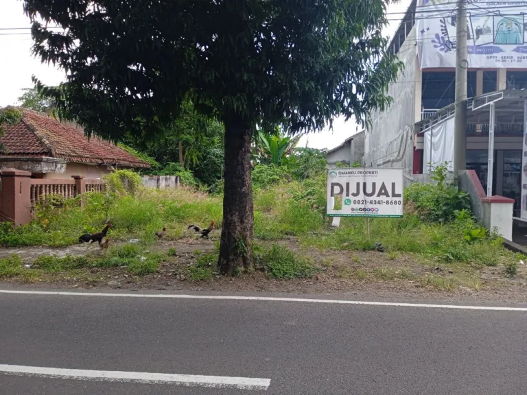 (BWI AI.002) Dijual Tanah Sangat Strategis Pinggir Jalan Desa Dadapan, Kec. Kabat, Kab. Banyuwangi