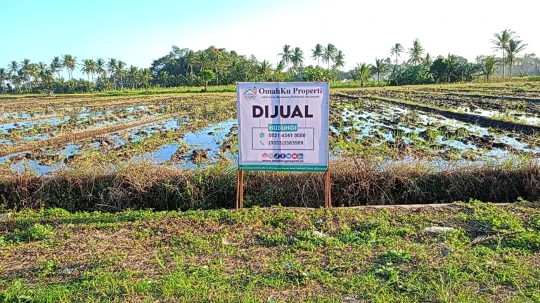 (BWI AI.039) Dijual Tanah Pertanian di Desa Sumberbaru, Kec. Singojuruh, Kab. Banyuwangi